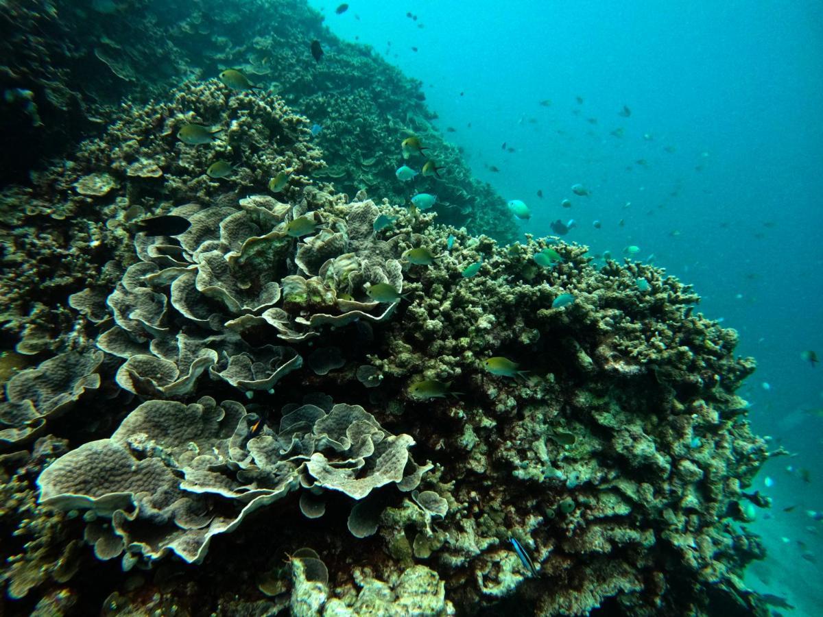 Adroit Beach Inn Guraidhoo  Luaran gambar